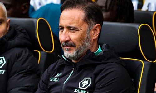 Vítor Pereira é eleito Técnico do Mês na Premier League após sequência perfeita com o Wolverhampton